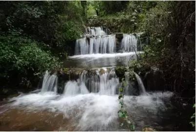 “氢”风徐来 “绿”动澎湃